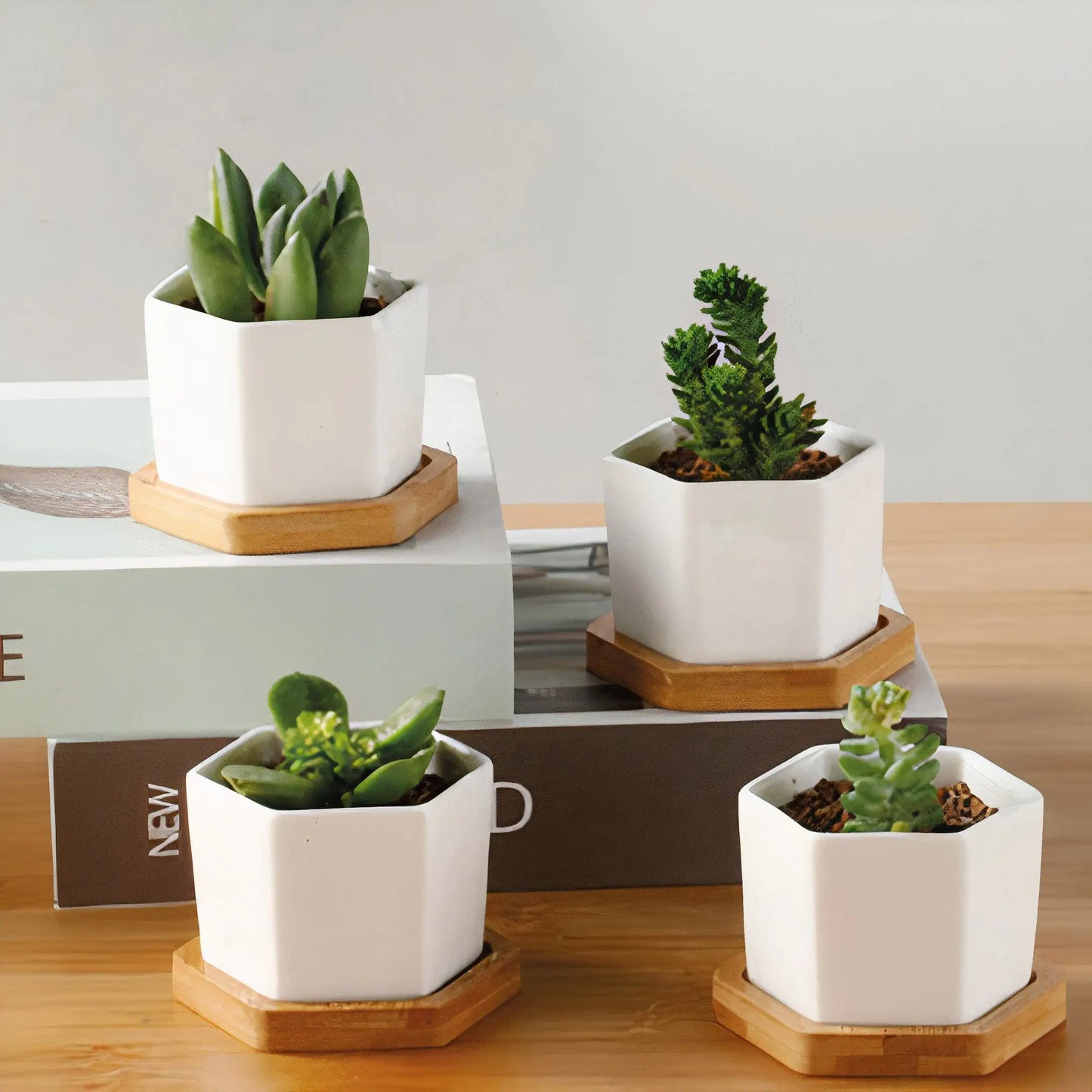 Succulent Small Planter Set of 3