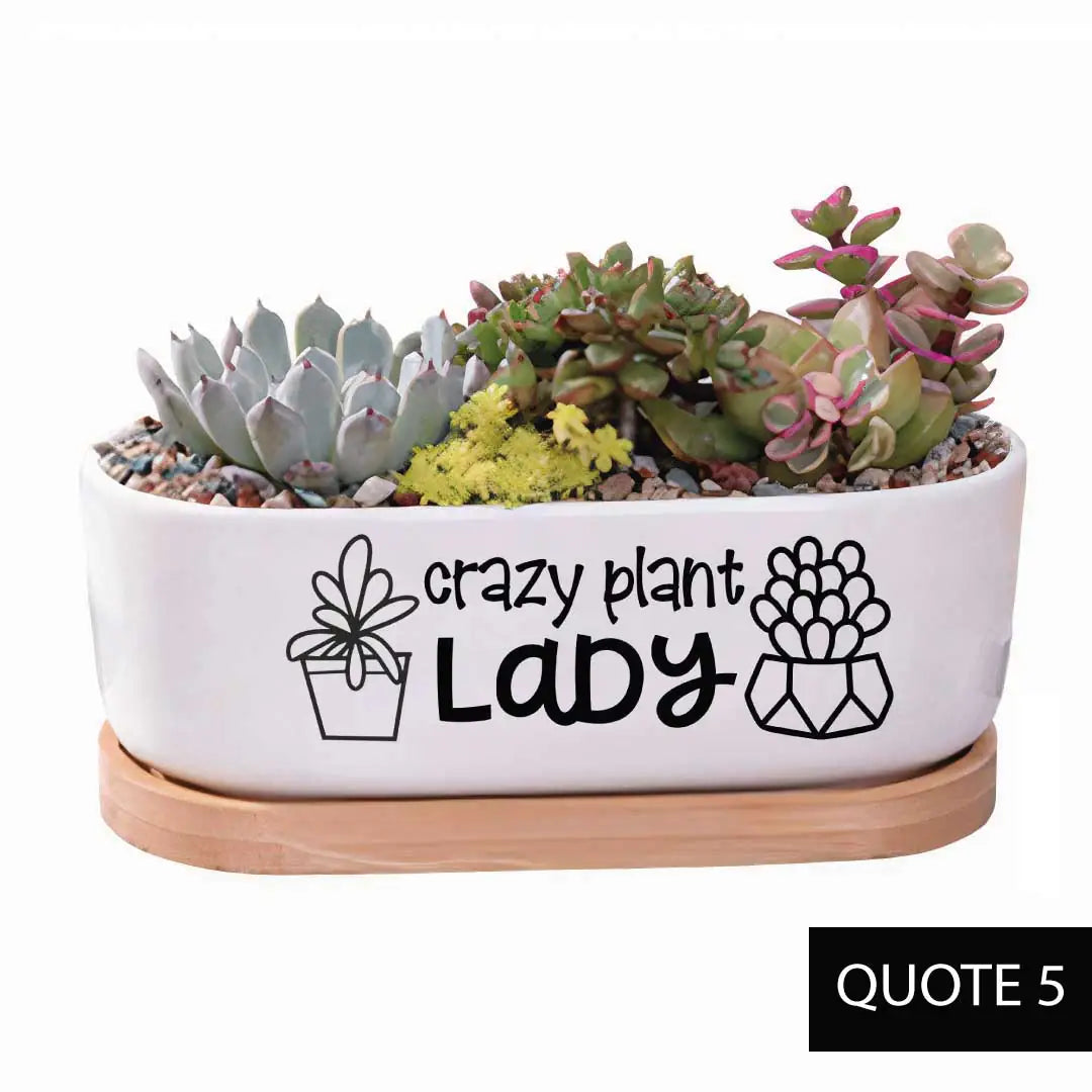 Message in a Planter - Oval 7" Crazy Plant Lady